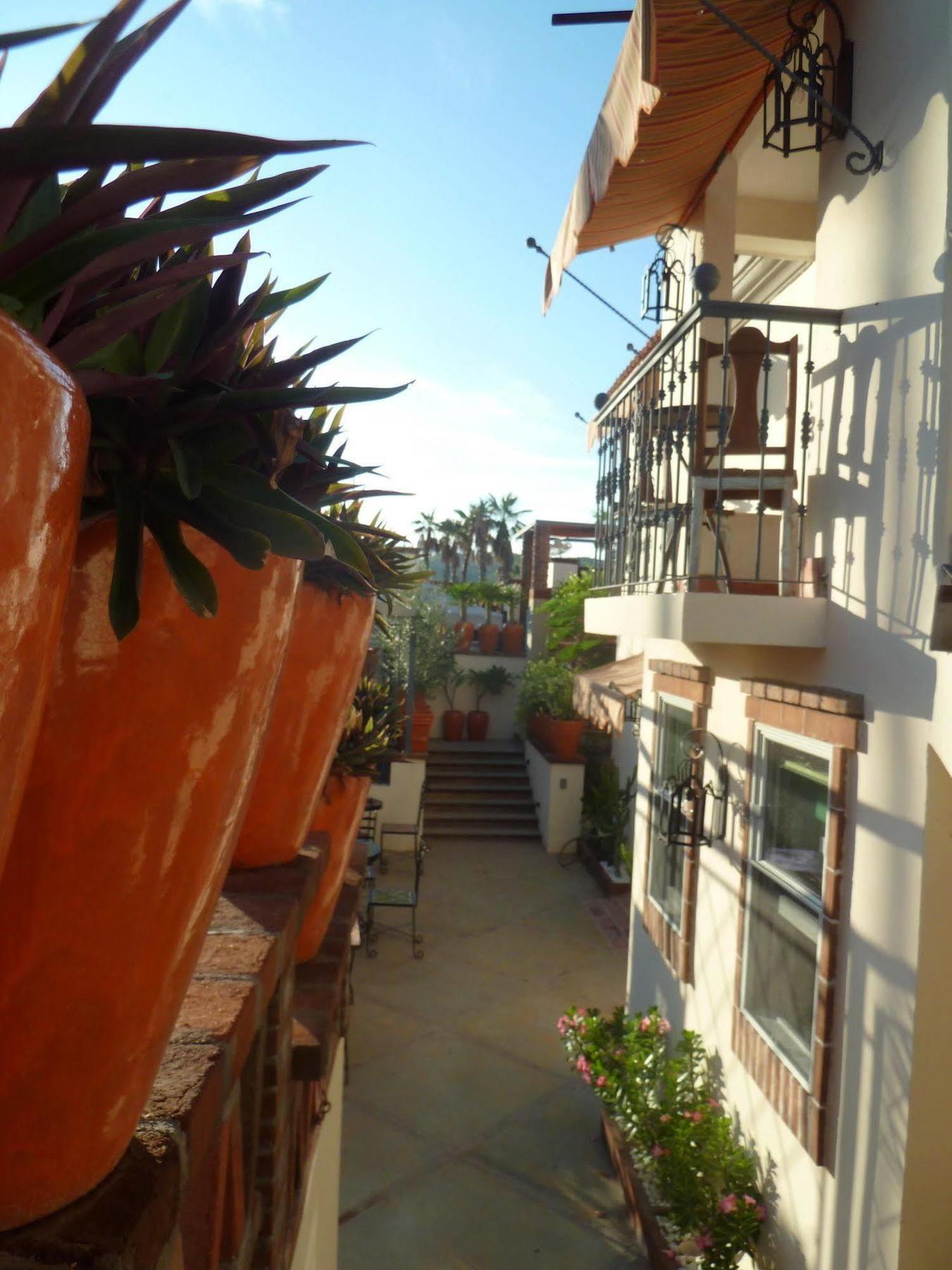 San José del Cabo The Suites By Villa Valentina المظهر الخارجي الصورة